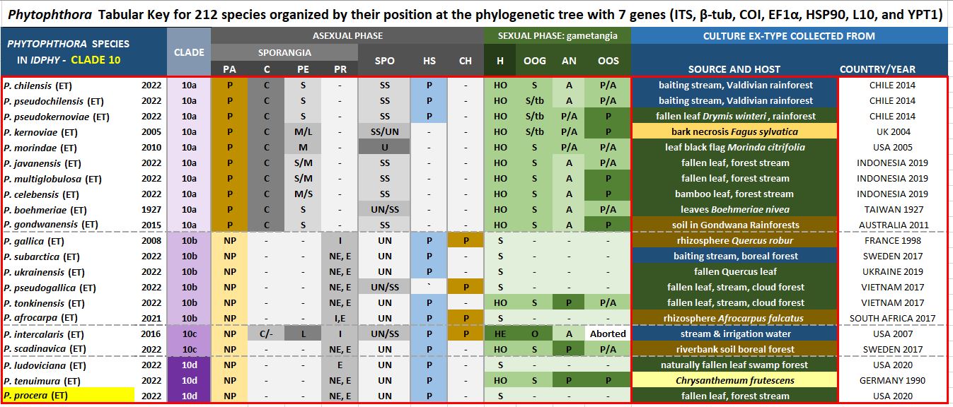    Phytophthora  spp. in subclade 10d:  Morphological Tabular key (PDF) and Tabular key legends (PDF) in IDphy2 KEY SECTION. Notice the data of   P. procera    Ex-type CBS 149226 . Gloria Abad, USDA Samp;T.
